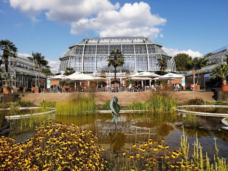 Berlin Botanical Garden